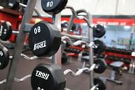 Bicep workouts (Photo by Richard R on Unsplash)